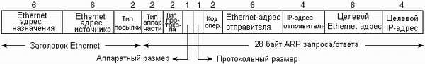  ARP-       Ethernet